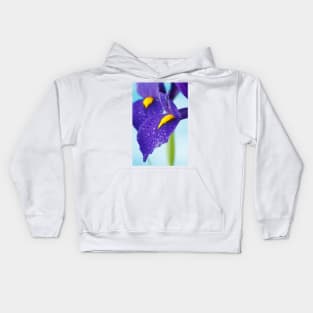 Iris  'Blue Pearl'  Dutch iris Kids Hoodie